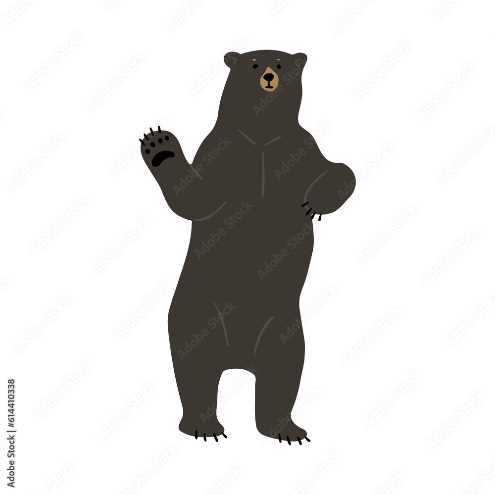 Fototapeta premium American Black Bear Single 22 PNG