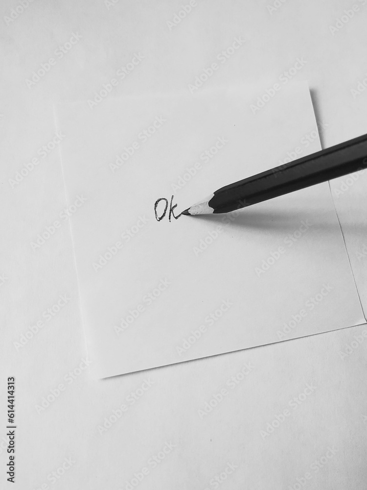 Fototapeta premium pen and paper, ok written