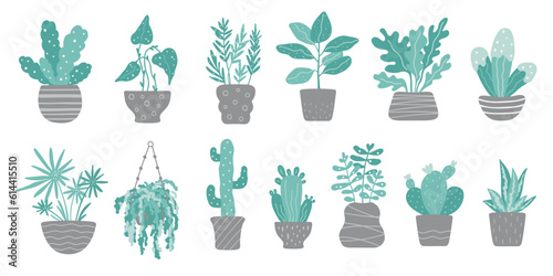 Set of trendy potted home plants. Set of indoor houseplants in scandi style. Cacti, begonia, palm, monstera, ficus. Colored flat vector illustration.