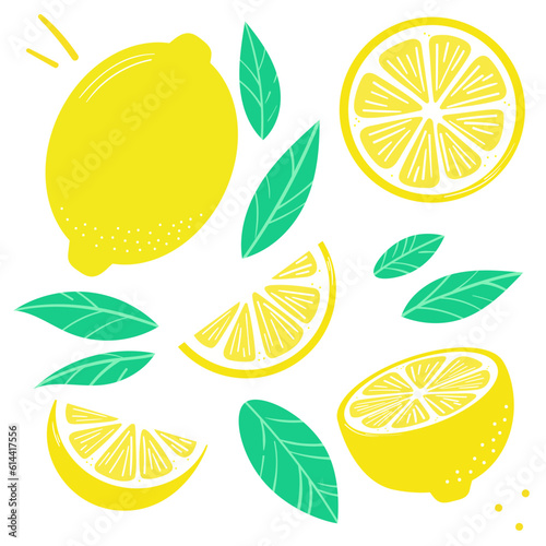 Lemon vector clip art set, flat illustration, citrus fruit