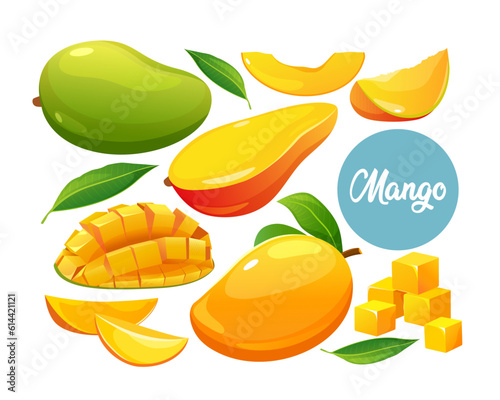 Set of fresh whole, half, and cut slice mango fruits isolated on white background.