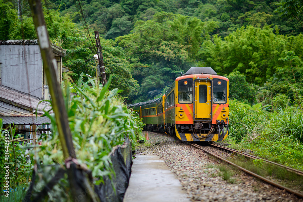 Naklejka premium A yellow diesel train is driving in the mountains and forests. Along the Pingxi line, there are river valleys, potholes and waterfalls. Taiwan