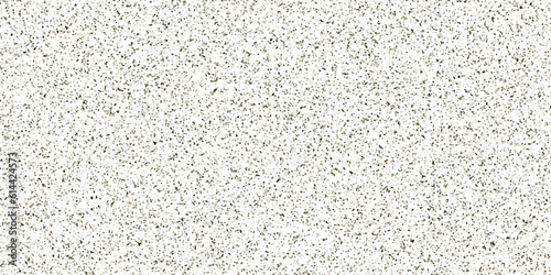 Vector modern terrazzo floor texture mixed black white gray color stone .The structure of porous stone texture, pebble stone background. 