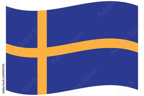 Swedish flag vector