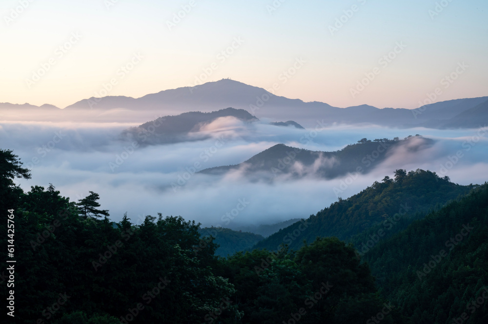 雲海 雲海