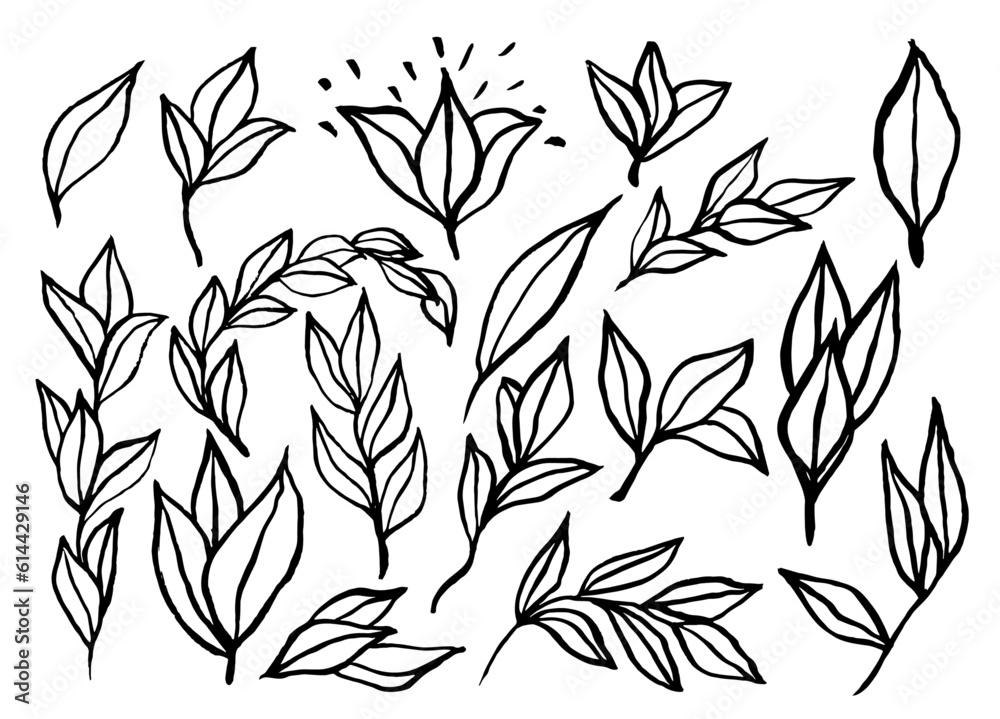 Naklejka premium Recurso de ilustraciones de hojas minimalistas, simples con trazos muy gestuales, para diseños modernos y de vanguardia. Ilustraciones a linea realizadas con pincel