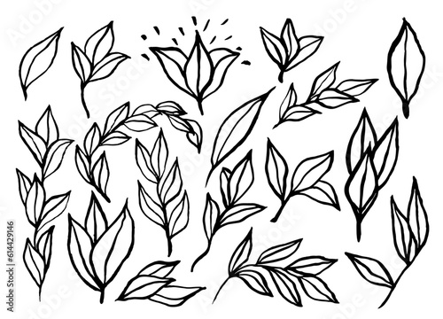 Recurso de ilustraciones de hojas minimalistas, simples con trazos muy gestuales, para diseños modernos y de vanguardia. Ilustraciones a linea realizadas con pincel