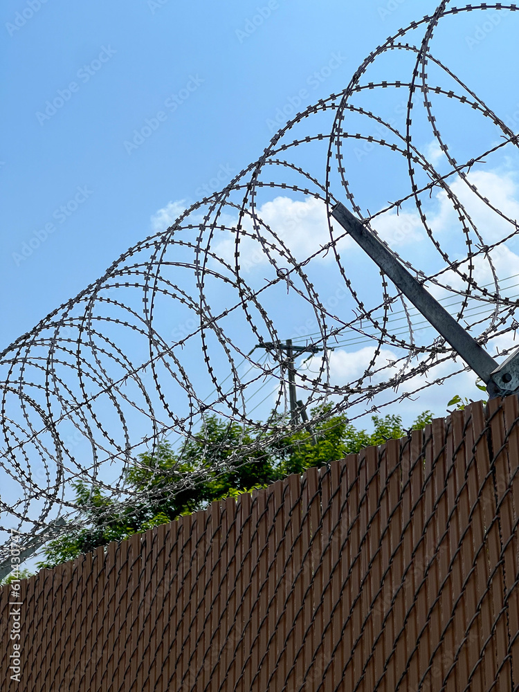 barbed wire fence with barbed wire barbed wire fence with barbed wire