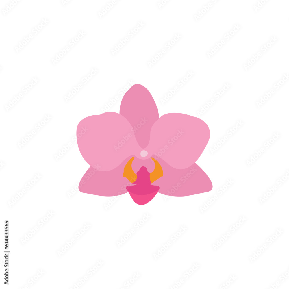 orchid isolated on white orchid isolated on white