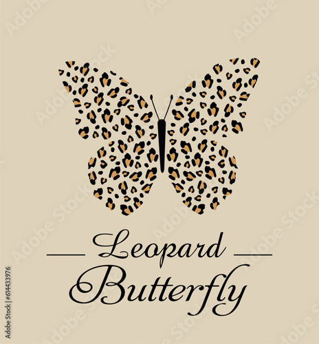 illustration of a butterfly