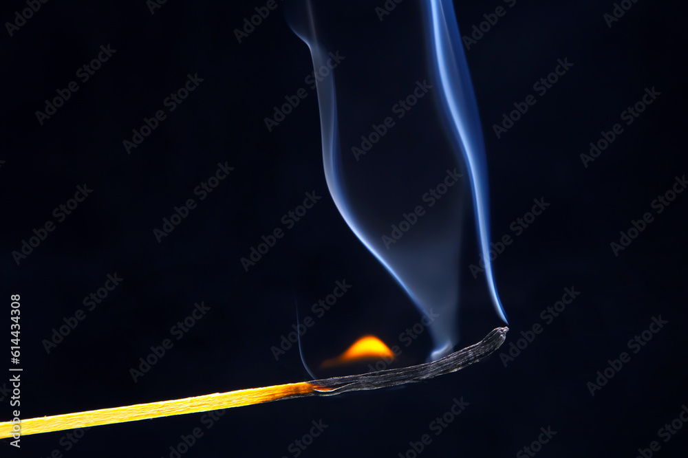 Ταπετσαρία Flashed and burning wooden match on a dark background close-up