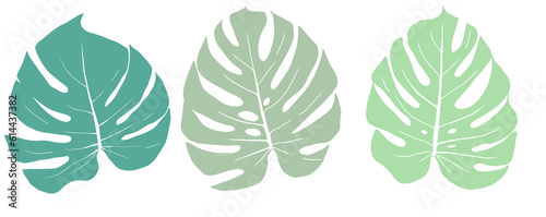 Trendy Botanical Tropical Plant Elements with Minimal Line Art Mosntera green Leaves set for Design decoration  