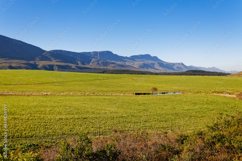 Beautiful green fields on a farm near Swellendam, Western Cape, South Africa. There are high mountains in the background