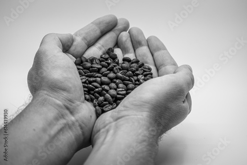 coffee beans in hand black and white