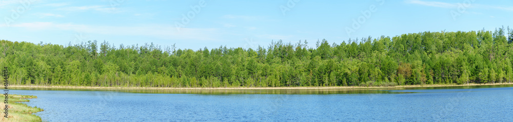 panoramic view of lakes and green forests. birch and larix gmelinii forest. lakes and birch and larix gmelinii forest. Volcanic lakes and forests
