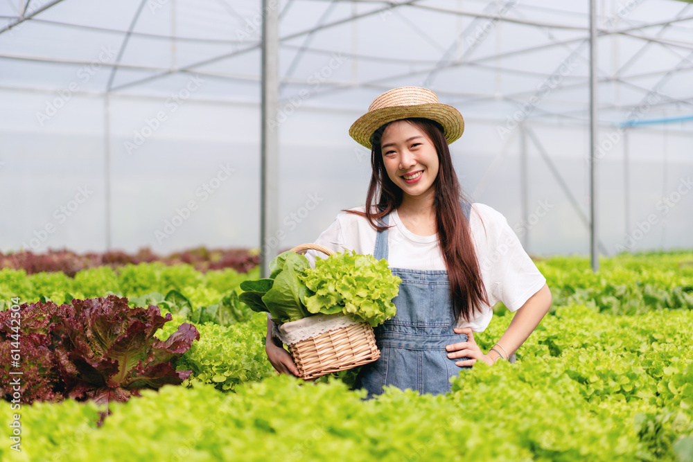 Woman smart farmer holding tablet working and checking organic hydroponic vegetable quality in greenhouse plantation to harvest preparing export to sell