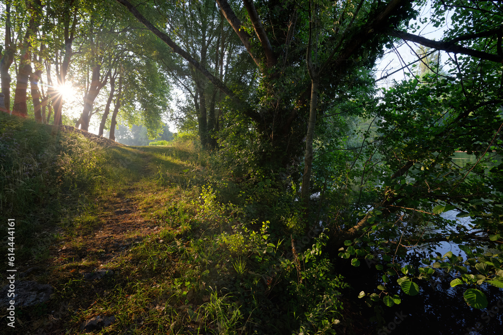 Fototapeta premium Loiret river bank in Saint-Hilaire-Saint-Mesmin village.