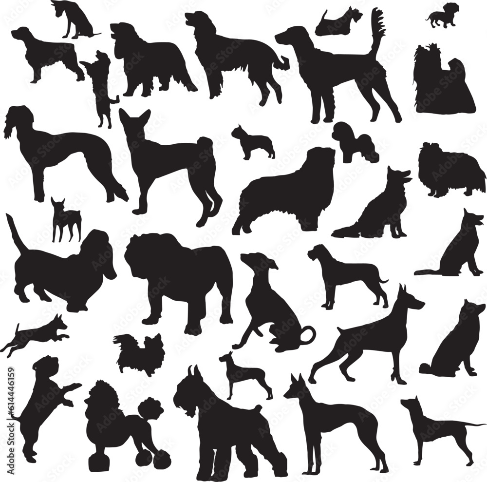 Set of black contours of dogs of different breeds for business cards, books, booklets, illustrations, postcards, invitations