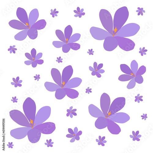 Collection of crocuses and saffrons. A set of spring purple, yellow and white crocuses. Vector illustration of beautiful multicolored flowers