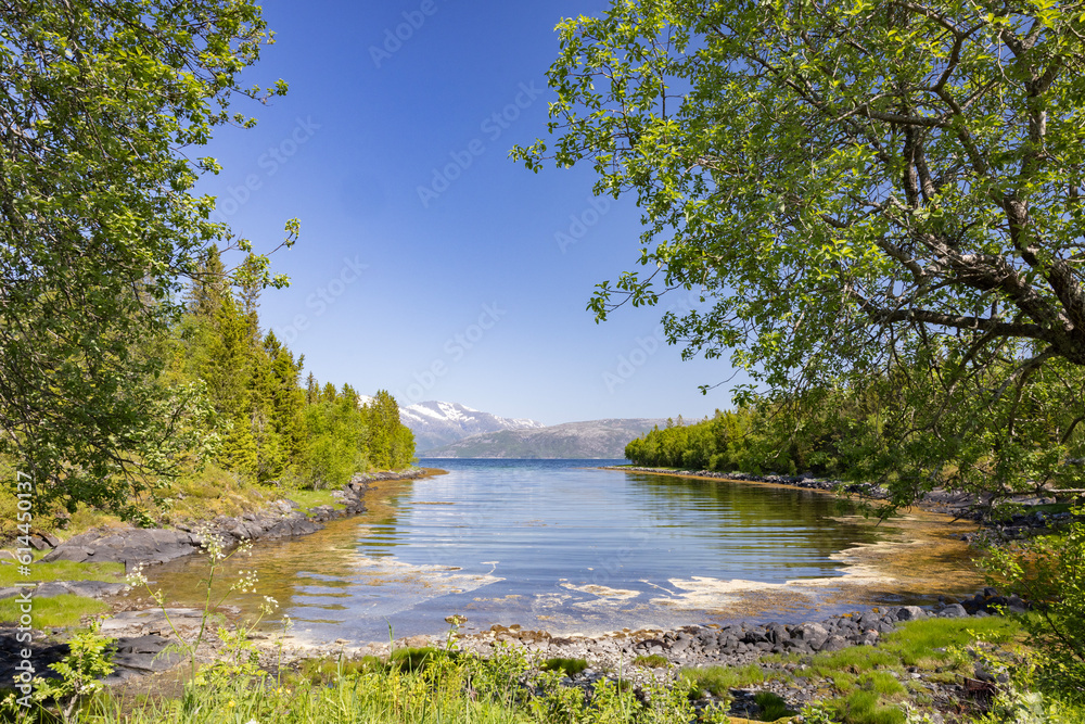 Hiking in Velfjord deep forest by the sea, Helgeland, Nordland county, Norway Hiking in Velfjord deep forest by the sea, Helgeland, Nordland county, Norway