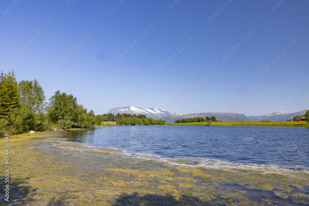 Hiking in Velfjord deep forest by the sea, Helgeland, Nordland county, Norway Hiking in Velfjord deep forest by the sea, Helgeland, Nordland county, Norway