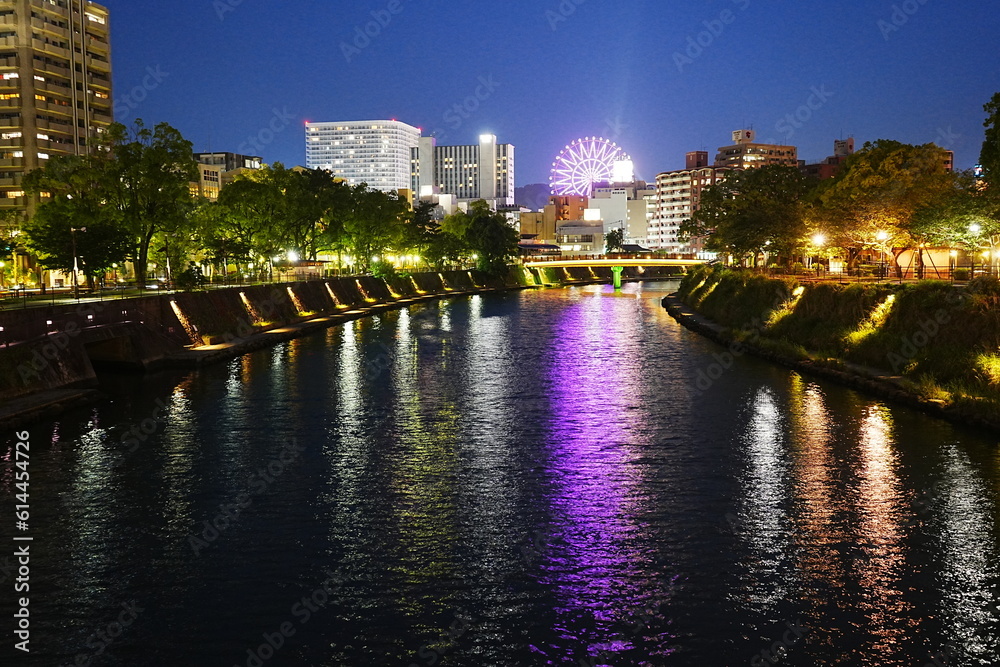 Night City view of Kagoshima and Koutsuki-gawa River in Kagoshima, Japan - 日本 鹿児島 街並み 夜景