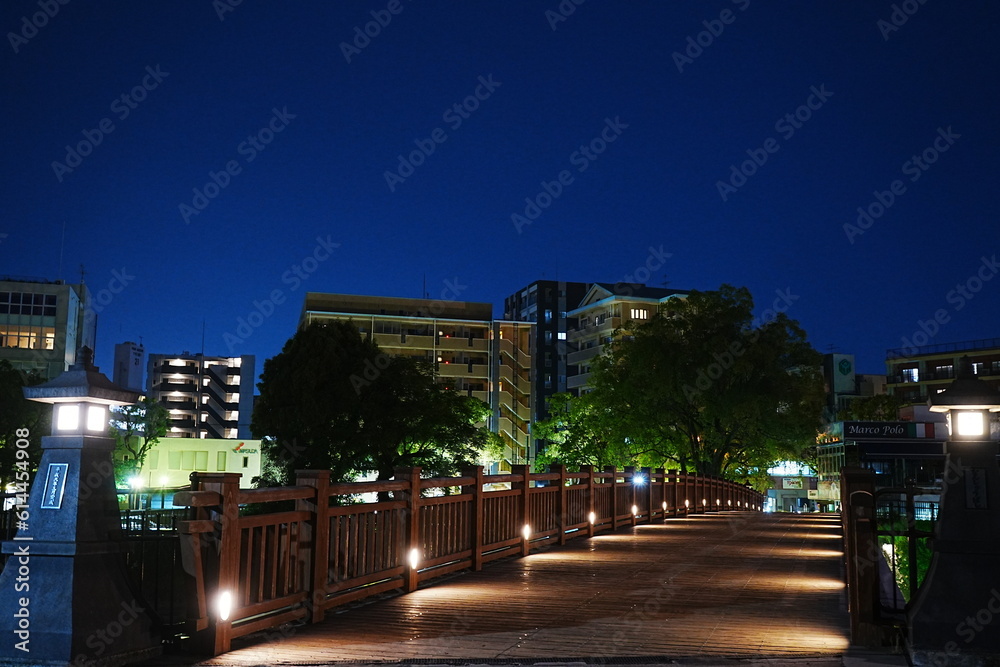 Night City View of Kagoshima and Nansyu-bashi Bridge in Kagoshima, Japan - 日本 鹿児島 街並み 南洲橋 夜景