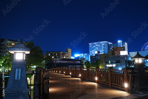 Night City View of Kagoshima and Nansyu-bashi Bridge in Kagoshima, Japan - 日本 鹿児島 街並み 南洲橋 夜景