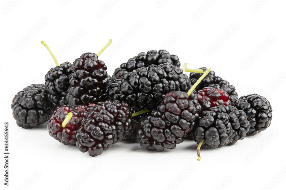Mulberry berry heap isolated on white background. Mulberry berry heap isolated on white background.