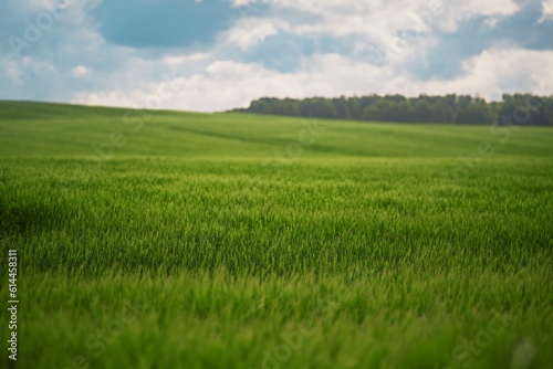 Agricultural land under a beautiful sky at sunrise. Rural areas and countryside in the morning.