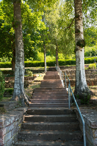 Eine steinerne Treppe mit einem einseitigen Metallgel  nder  die zwischen Birken hinauf f  hrt  entlang an steinernen Terrassen