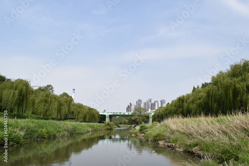 Photography Yangjae River