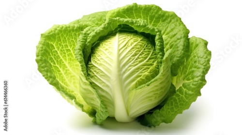 cabbage isolated on white background,