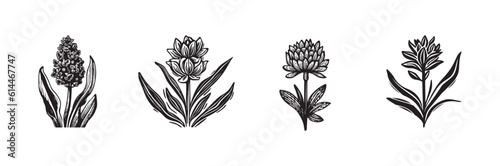 Linotype floral icon collection in whimsical vector art. Decorative foliate design for rustic botany set. 