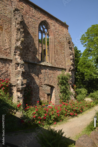 klosterhof rosenthal, kirchenruine photo