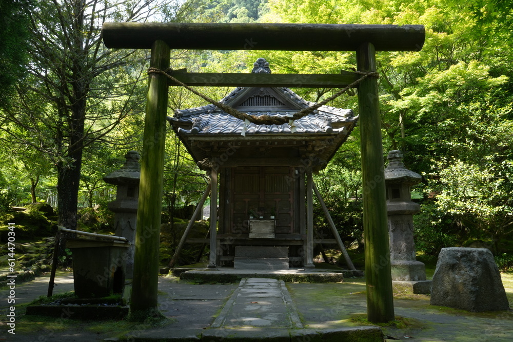 Torii of Oniwa-jinja or Shrine at Senganen Garden Park in Kagoshima, Japan - 日本 鹿児島 仙巌園 日本庭園 御庭神社 鳥居