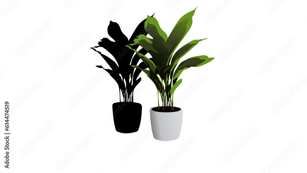 Aspidistra flower silhouette Aspidistra flower silhouette