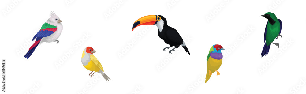 Fototapeta premium Colorful Tropical Birds as Aves Species with Bright Feathers Vector Set