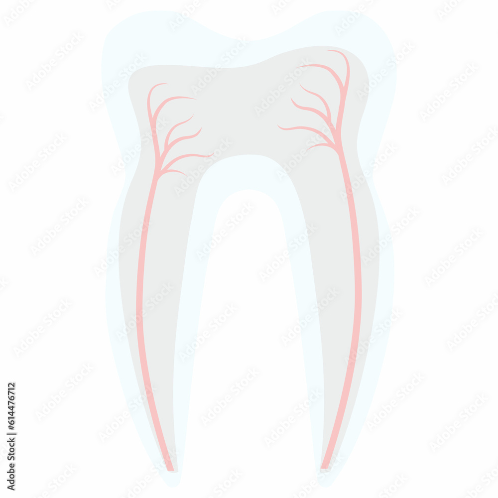 Tooth structure decoration design treatment stomatology Tooth structure decoration design treatment stomatology