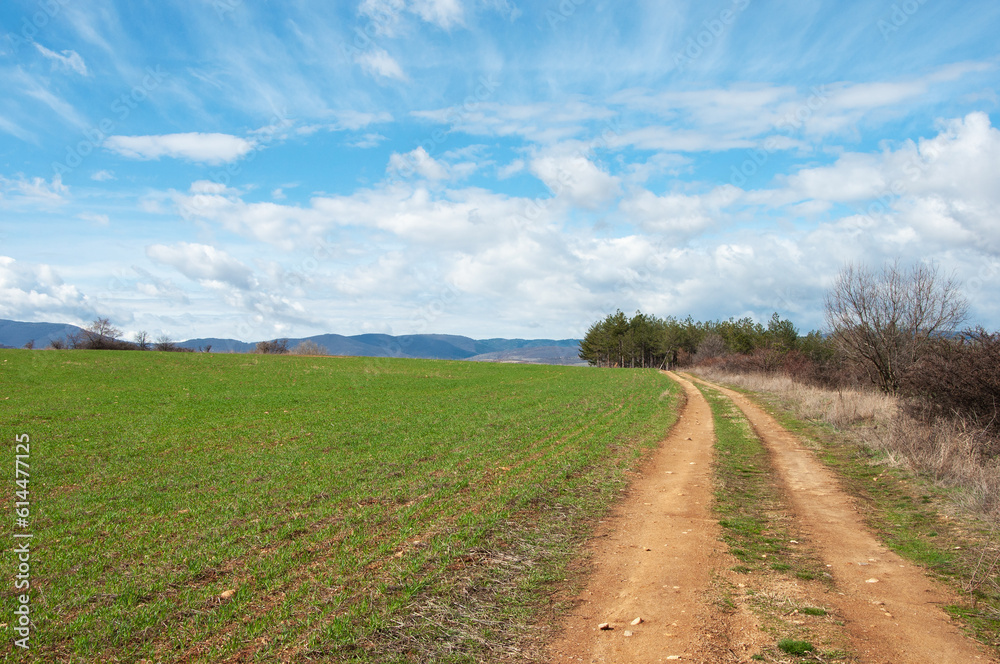 Country spring landscape, green field