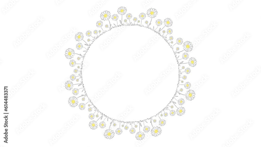 Daisy Flower Wreath Chain Drawing 2D Video Animation. Animated round floral frame with full of daisies. Daisy Flower Wreath Chain Drawing 2D Video Animation. Animated round floral frame with full of daisies.