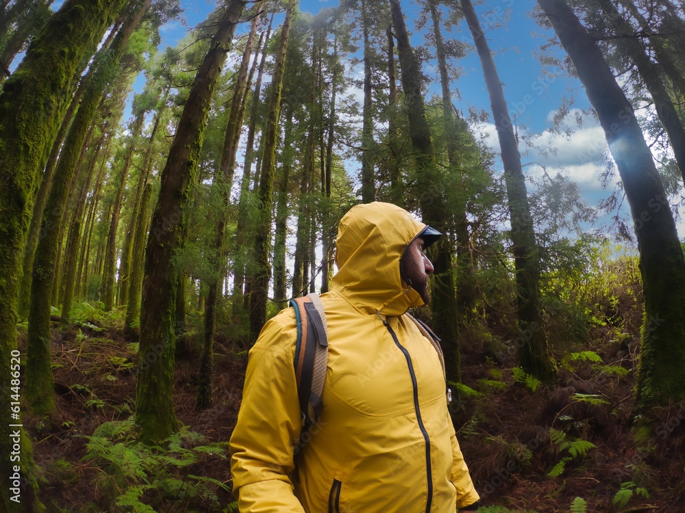 hombre en medio de un bosque de coníferas