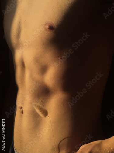 beauty male torso