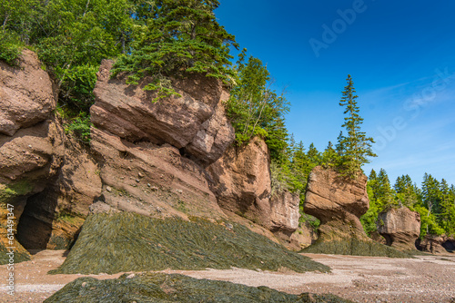 Angular Erosion at Hopewell Rocks