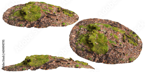 3d illustration of moss covered rocks, set on dry leaves isolated on transparent background
