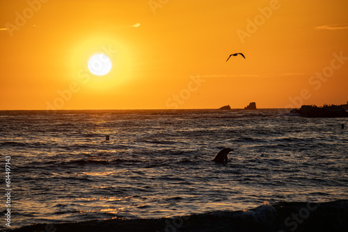 Sunset in Laguna Beach