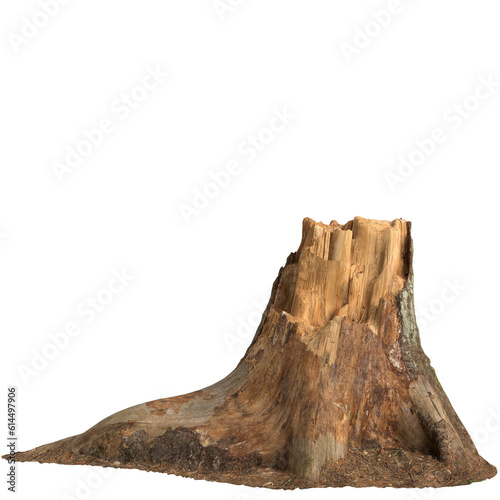 3d illustration of dry tree stump isolated on transparent background © TrngPhp