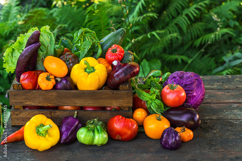 Fresh organic vegetables in wooden box on rustic table in a garden. Agriculture or harvest concept Fresh organic vegetables in wooden box on rustic table in a garden. Agriculture or harvest concept