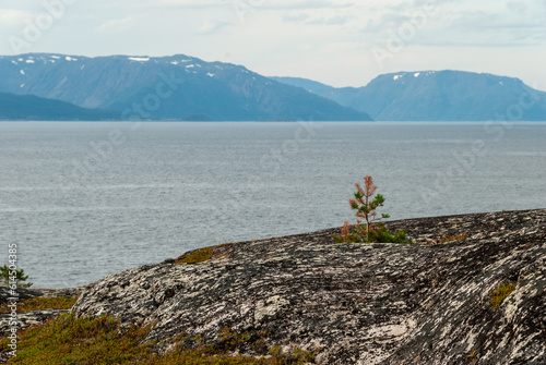Nature around Altafjorden, Finnmark, Norway