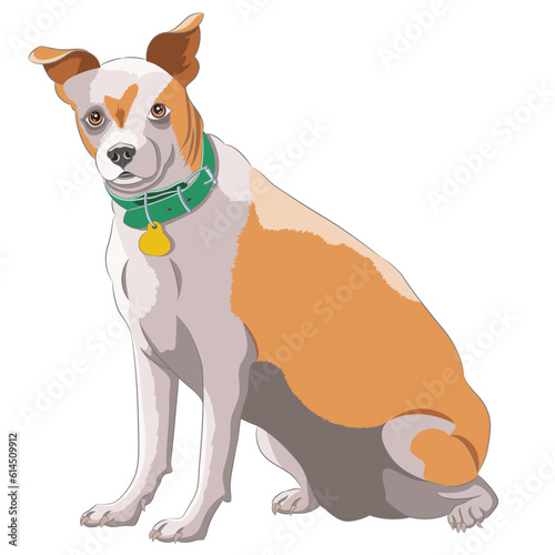 Drawing of a mongrel red dog in a collar with a medallion.